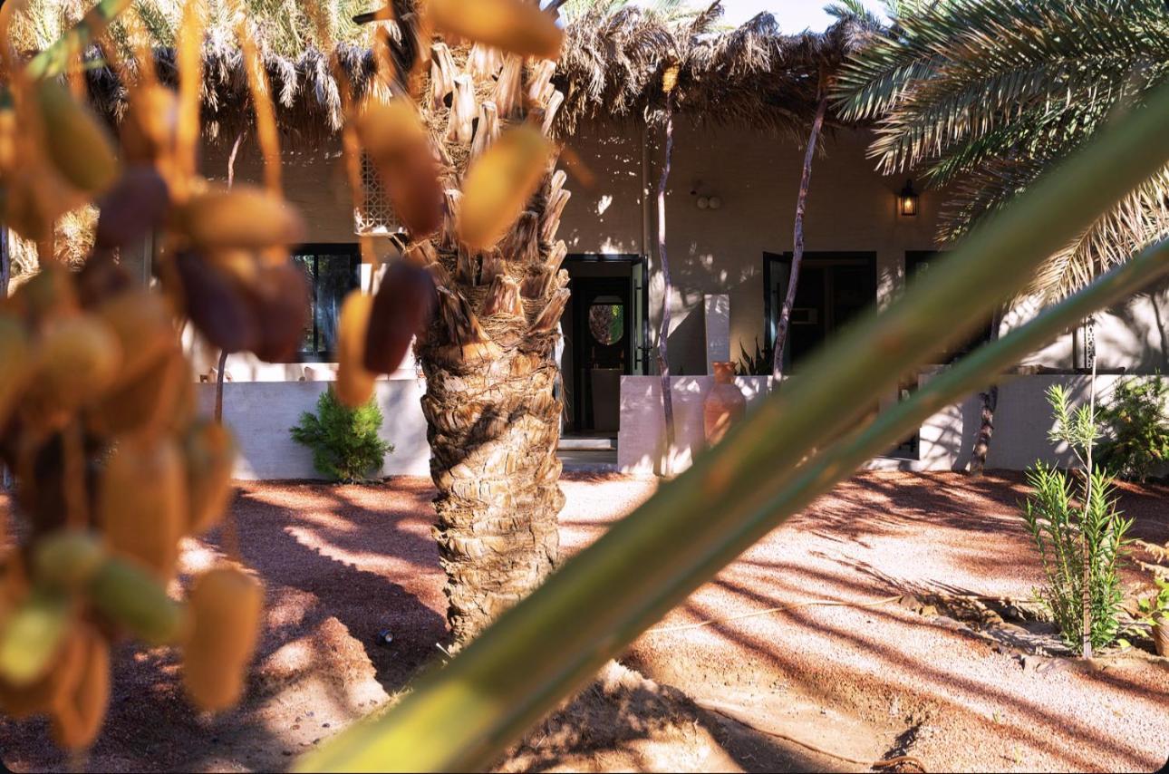 Under Las Palms Alula Otel Madain Saleh Dış mekan fotoğraf