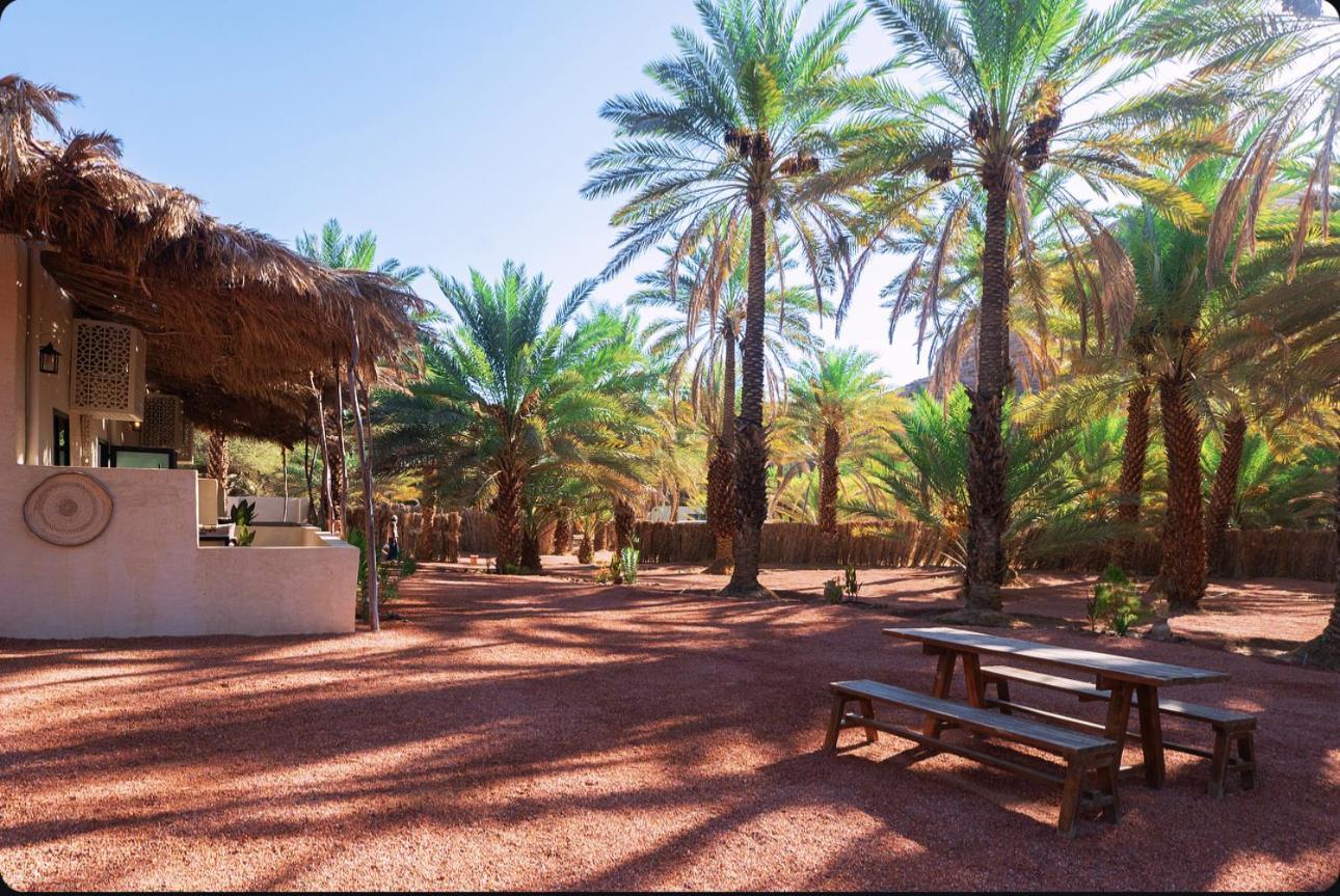 Under Las Palms Alula Otel Madain Saleh Dış mekan fotoğraf